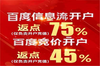 百度推广价格策略案例：如何精准投放预算
